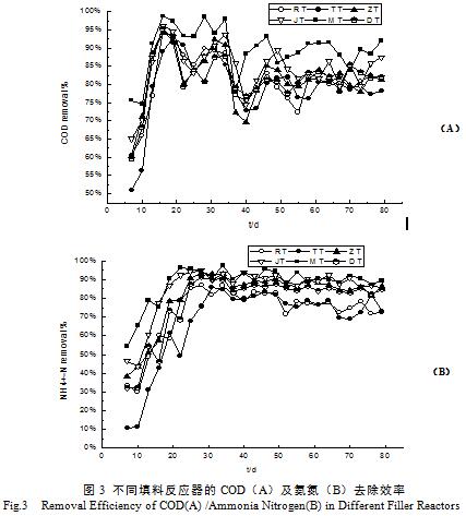 不同填料反應(yīng)